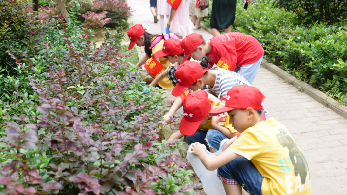 微信截图_20200726221358.png 微信截图_20200726221358.png