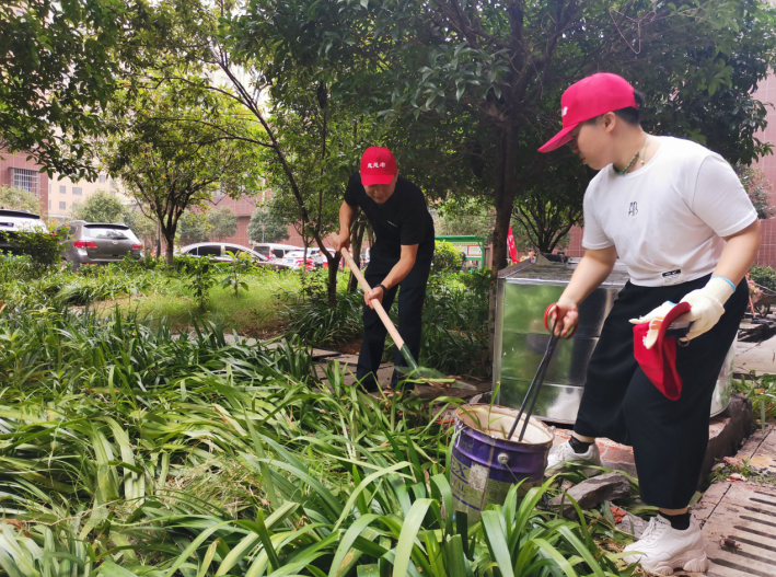 微信截图_20200726221440.png 微信截图_20200726221440.png