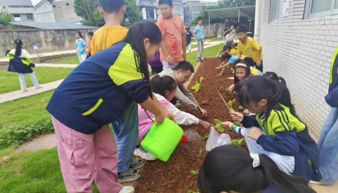 “蔬”香为伴,“勤”满校园照片1.jpg “蔬”香为伴,“勤”满校园照片1.jpg