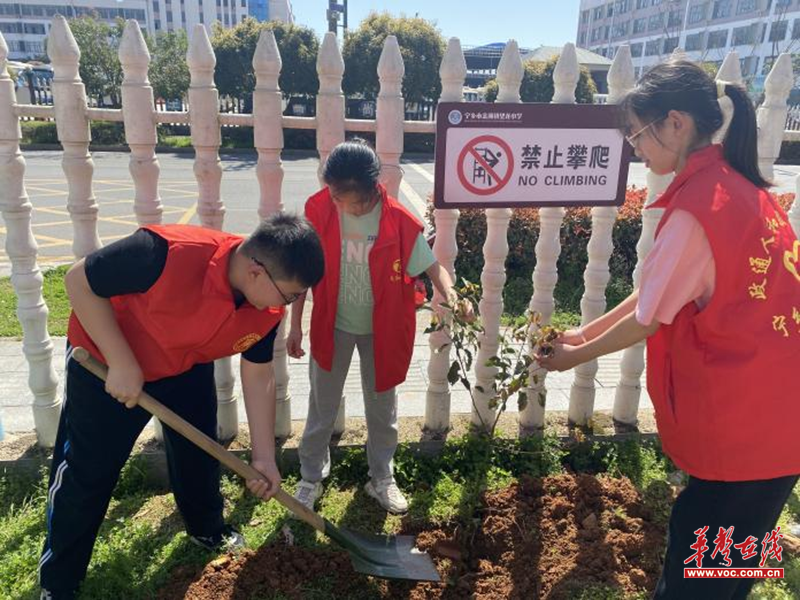 图片 2.png 图片 2.png