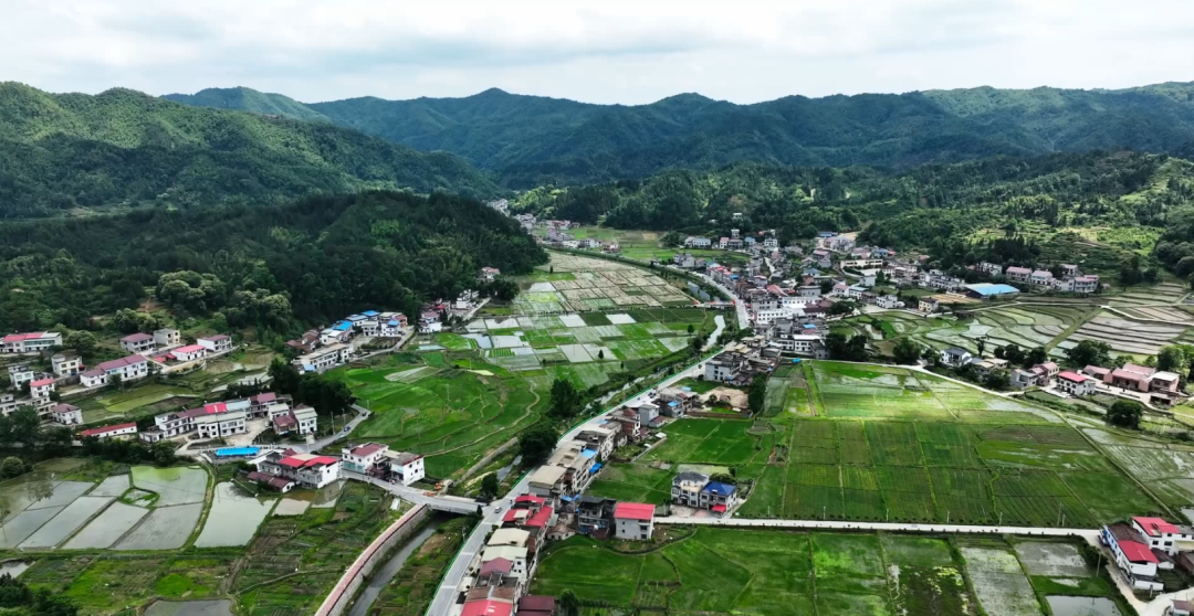 图片5.png 图片5.png